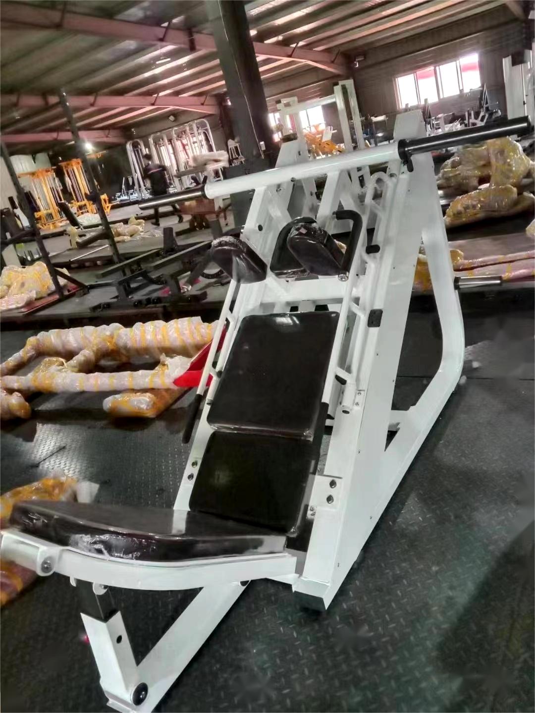 Commercial Gym Leg Press Hack Squat 2 In 1 Dual Function Plate Loaded