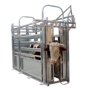 China Headlock Galvanized Livestock Fencing wholesale