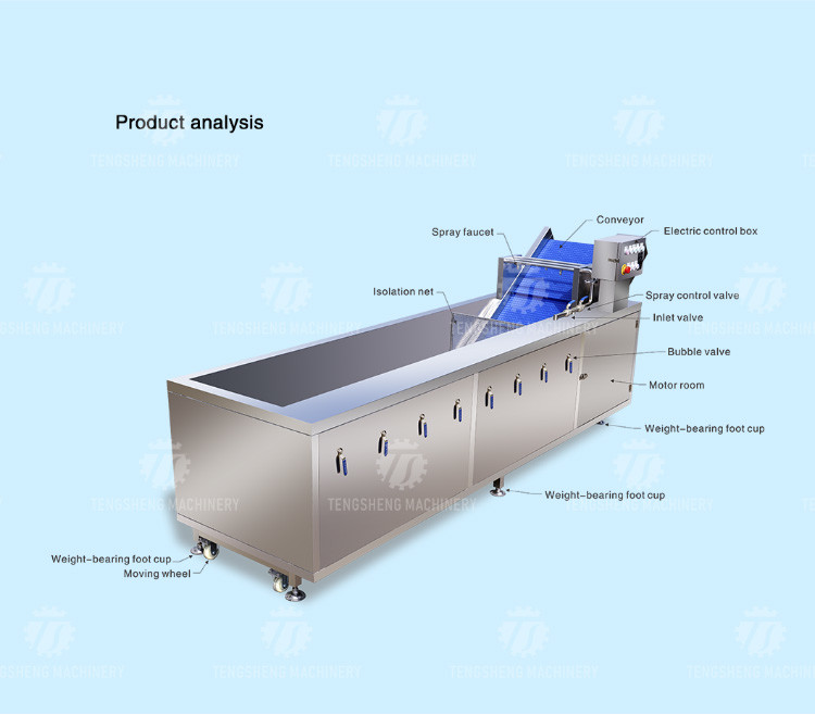 Tengsheng Fruit And Vegetable Washing Machine Pests Eliminating Saint Dragon Fruit
