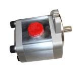 Portable Stainless Steel Electric 110V 220V Gear Pump for Food Grade Lube Oil