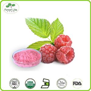 China High quality natural raspberry fruit extract powder wholesale
