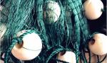 EVA Oval Fishing Net Floats Corrosion Resistance Tear Resistance