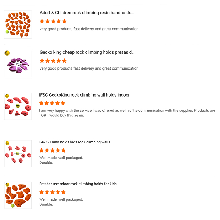 NO Inflatable Gecko King Outdoor/Indoor Rock Climbing Holds for School Climbing Walls