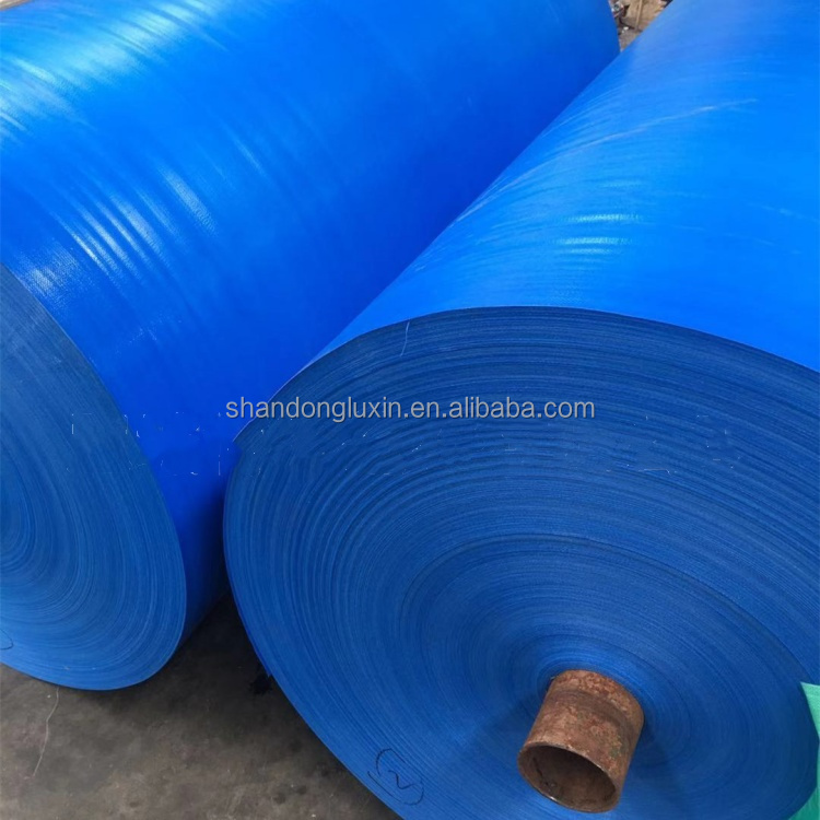 Stain Resistant and Waterproof Blue PE Tarpaulin Cover Sheet for Outdoor Applications