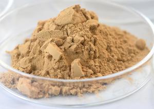 China Main Enzymes 50000-100000U/G Food Grade Neutral Protease OEM ODM wholesale