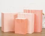 Embossed Printing Paper Bag 250gsm Printed Paper Carrier Bags