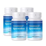 60 Capsules Spermidine Supplements Capsules With Spermidine, Gelatin, Rice Flour