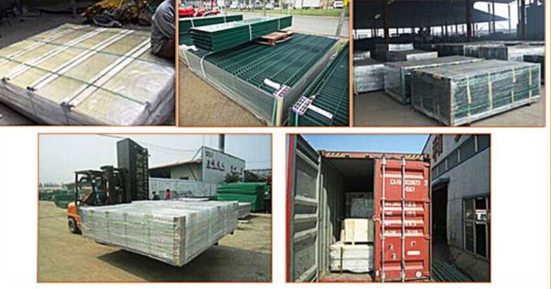 PVC Coated Security Protected Fence/Wire Mesh Fence