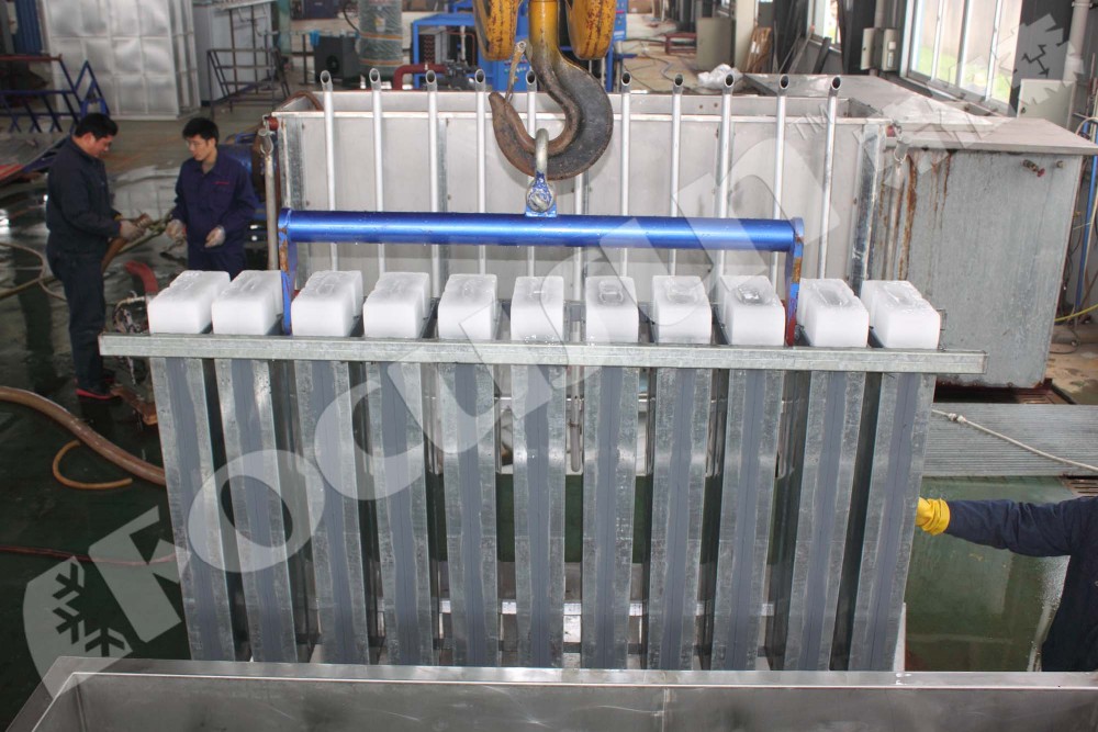 Motor-driven 10 ton FIB-WHB Brine Cooling Block Ice Machine for Water-Cooling System