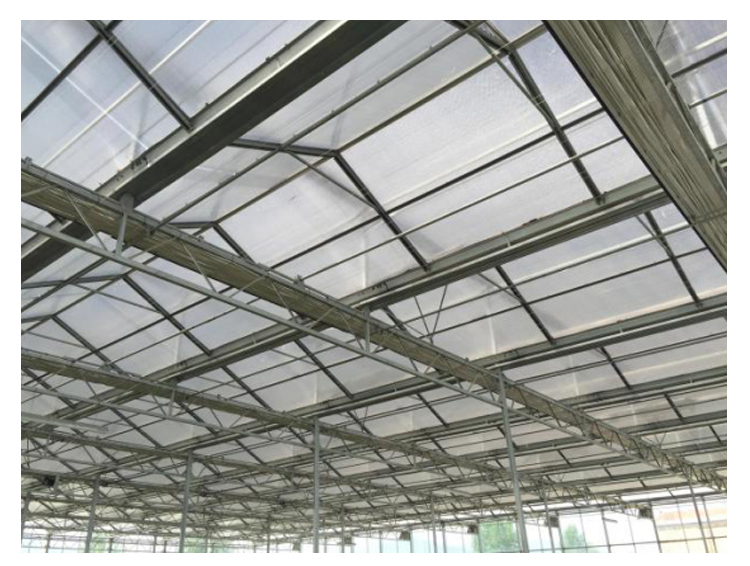 High Yield Hydroponic Greenhouse for Tomatoes Vegetables and Flowers in Any Season
