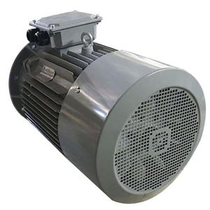 China Brushless AC Three Phase Induction Motor 15KW 20HP 380V 400V 3000RPM Y2-160L-4 wholesale