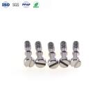 316 Stainless Steel Custom Fasteners One Word Slotted Captive Screw Flat Head