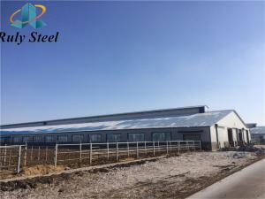 China Large Span Steel Poultry House Prefab House Building Construction wholesale