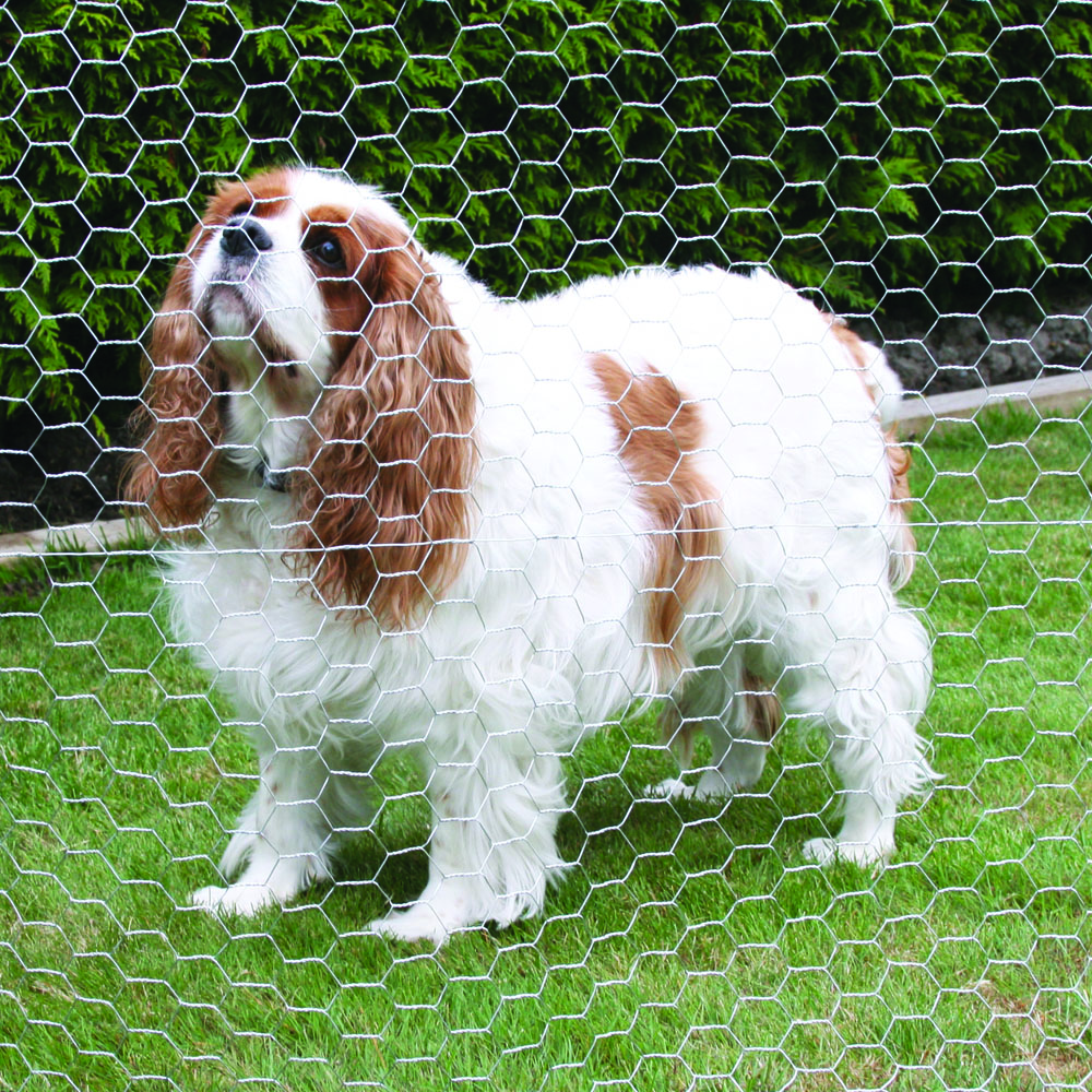 Factory Price Anti-rust diameter 0.4-1.5mm Galvanized Hexagonal Mesh Chicken Wire Garden Fence For Farm Fence