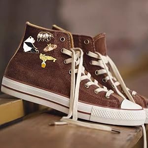 pins for shoes