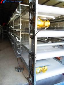China Chicken Automatic Manure Cleaning System Of Poultry House Cage Feeding wholesale