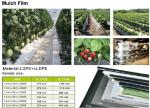 Weed Control Mulch Film, Agriculture Vegetable Black PE Films, 5 Holes