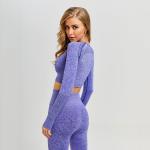 Seamless Women's Yoga Apparel Gym Fitness Clothing , Women Long Sleeve Yoga