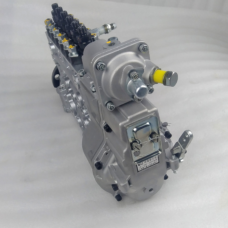Shacman F3000 Truck Part Wp12 Engine Fuel Injection Pump Assembly 612601080397