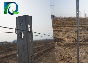 China Agricultural Galvanised Steel Vineyard Posts 2500x1.5MM High Wind Resistance wholesale