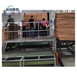 Customizable Veneer Dryer Machine Fully Automatic Control