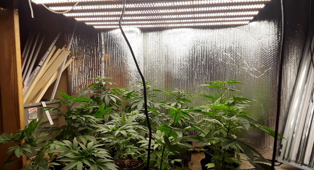 Evenly Irradiated Commercial LED Grow Light Bar 850*850*55mm Size