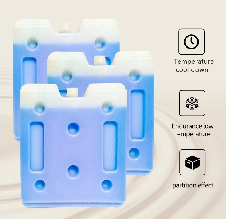 Blue Freezer Cooler Gel Packs Reusable Ice Packs For Coolers
