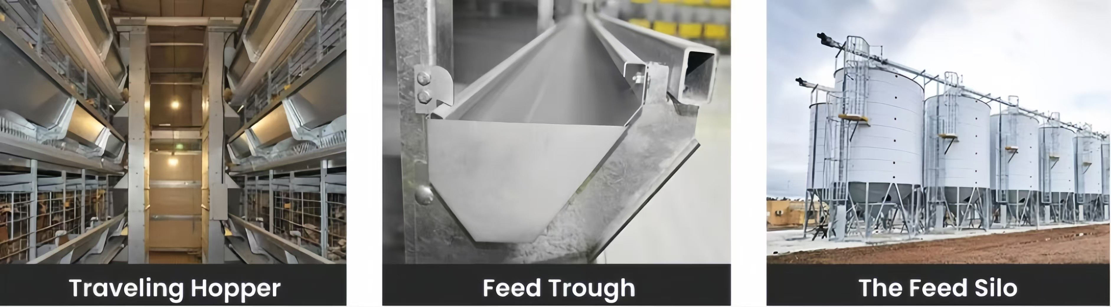 Automatic Layer Battery Chicken Cages 4 Tiers 5 Tiers Agricultural Poultry Farming Cage