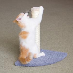 China OEM Eco Friendly 13.39&quot; Fabric Cat Scratching Post wholesale
