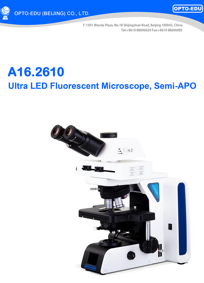 OPTO-EDU A16.2610 Trinocular 1000X Ultra LED Fluorescent Microscope
