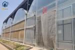Big Agricultural Modern Garden Greenhouse Plastic Film Multi Span Nursary