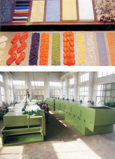 DW Single-layer Mesh-Belt Drier