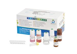 China 96T/ Elastase Assay Kit BRED-006 wholesale