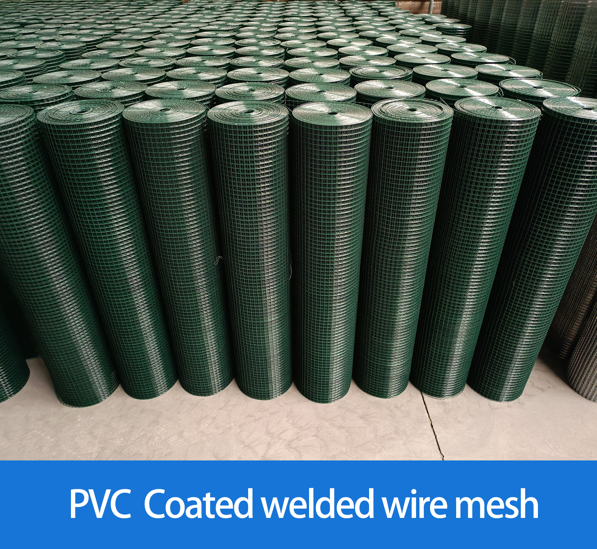 Widely Used Galvanized Welded Wire Mesh For Chicken Pens And Galvanized Welded Wire Mesh Cage