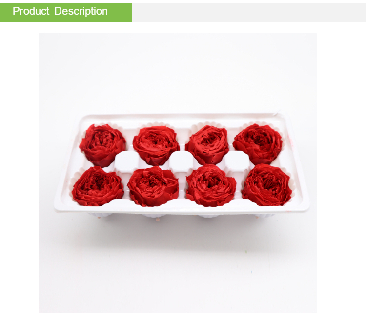 Long Lasting Preserved Austin Flower Rose Eternal For Wedding Decoration