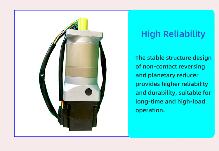 High Speed Brushless Dc Gear Motor 12v 24v Electric Custom For Automatic Product