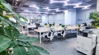 Shenzhen Bitvisus Technology Limited