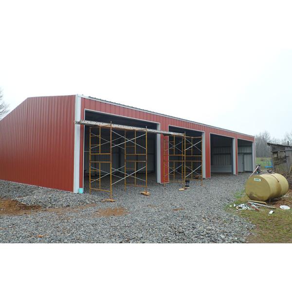 Chicken Poultry Shed Steel Construction and Animal Farm Building Steel Cow Shade