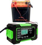 Portable AGM GEL Battery Pulse Repair Charger 12V