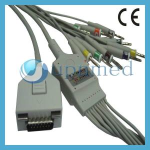 China Fukuda ME KP-500 10 lead ecg ekg cable,Banana 4.0(no resistance) wholesale
