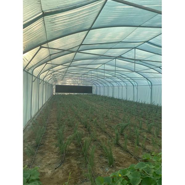 200 Micron Single Span Greenhouse High Capacity Plastic Film Greenhouse