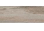 Light Brown Color Waterproof Wooden Look Porcelain Tile 200x1200mm