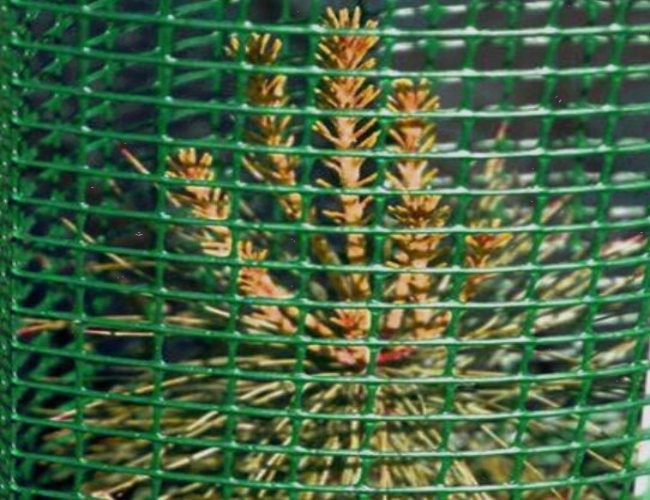ISO9001 SS304 SS201 Plastic Coated Wire Mesh Panels For Support Of Plants