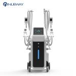 OEM ODM service efficient beauty technology fat freezing Cryolipolysis slimming