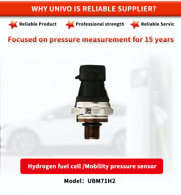 TE UBM71H2 EC-79 Hydrogen Pressure Sensors Hydraulic 316L Wetted Materials
