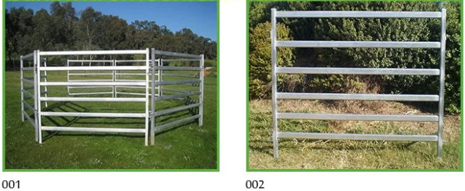 Cattle Metal Corral Fence