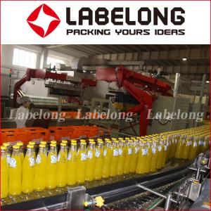 China 500 ML 5000 BPH Small Scale Juice Bottling Equipment wholesale