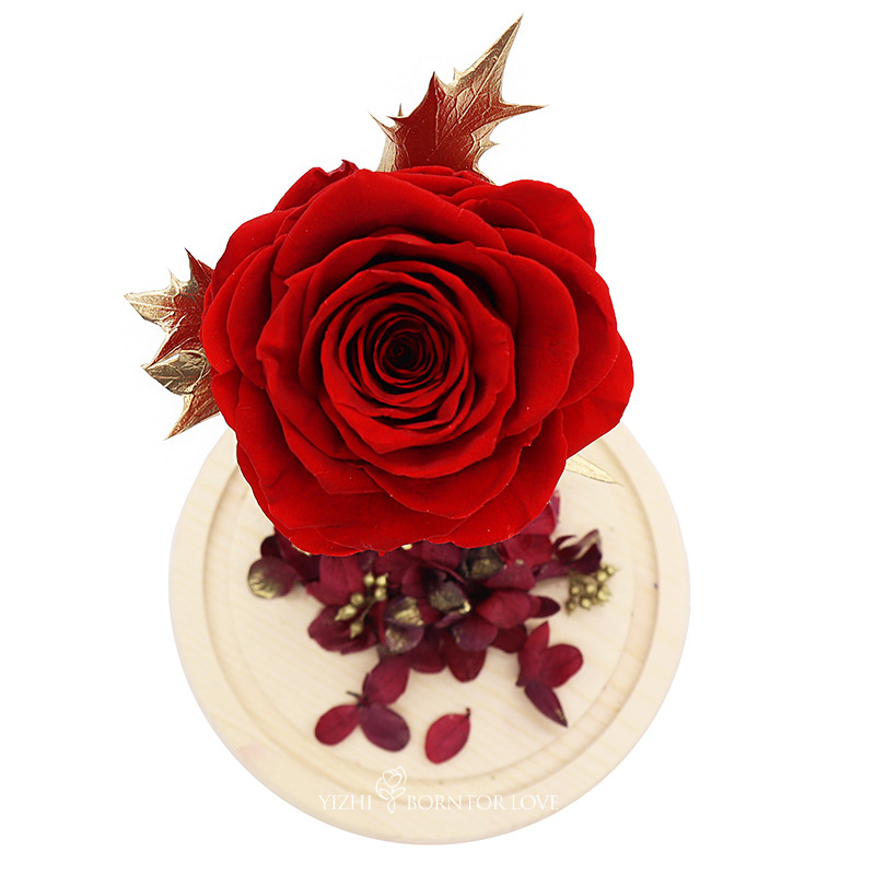 Everlasting Rose In Glass Dome Gift For Thanksgiving Christmas Valentine'S Day