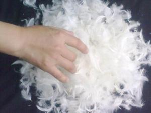 China Home Textiles Dcuk and Goose Products wholesale