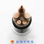 Building Armoured XLPE Insulated Power Cable NH-YJV22 16mm 35mm Electric Copper